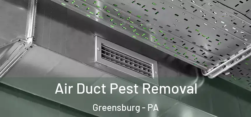  Air Duct Pest Removal Greensburg - PA