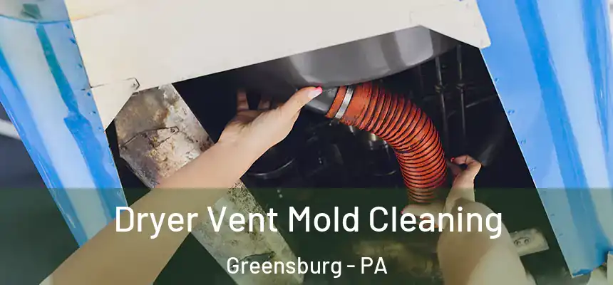  Dryer Vent Mold Cleaning Greensburg - PA