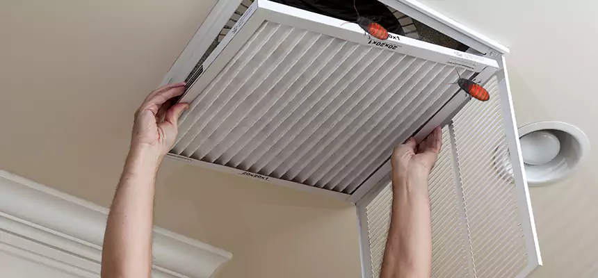 Preventive Cockroach-Proofing for Ducts in Greensburg