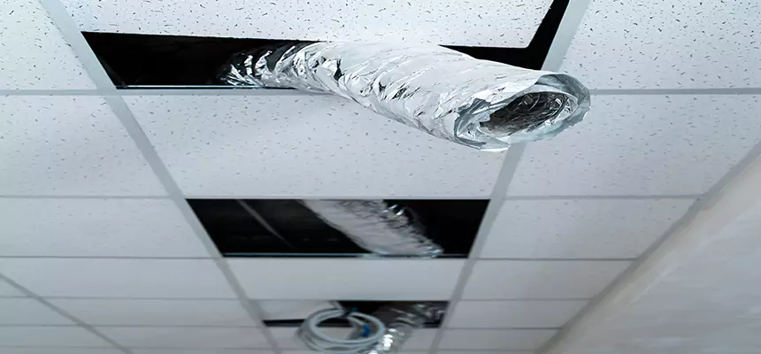 Our Air Duct Pet Hair Removal Services in Greensburg, PA