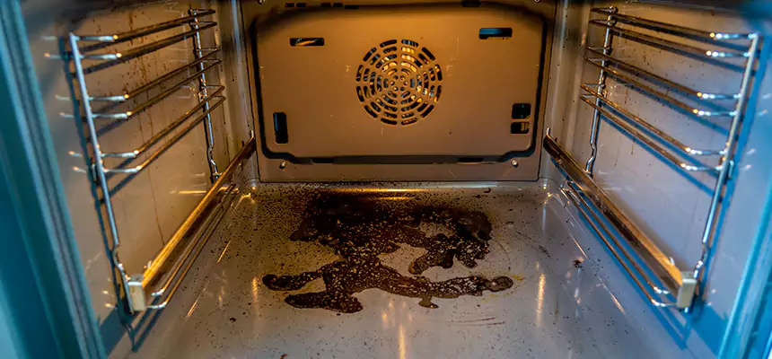 Our Dryer Vent Mold Cleaning Services in Greensburg, PA