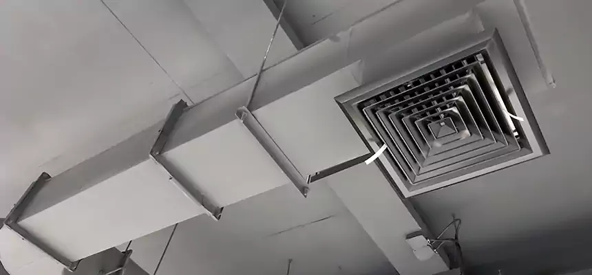 Our Pest Removal From Ducts Services in Greensburg, PA