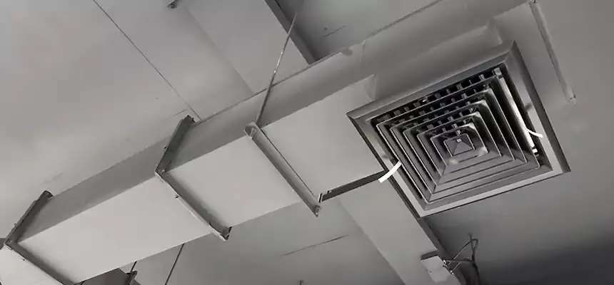 Our Rodent Droppings In Vents Services in Greensburg, PA