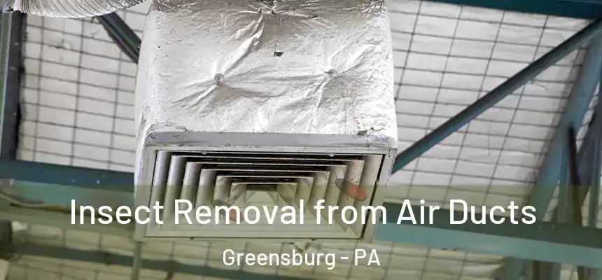 Insect Removal from Air Ducts Greensburg - PA