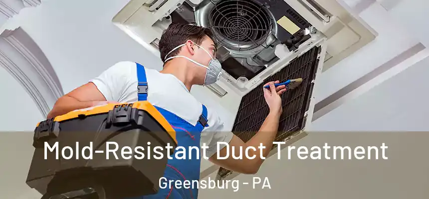 Mold-Resistant Duct Treatment Greensburg - PA