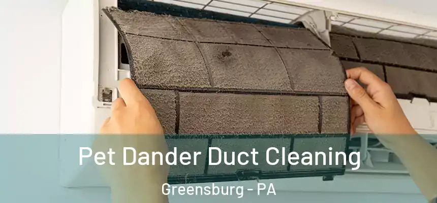 Pet Dander Duct Cleaning Greensburg - PA