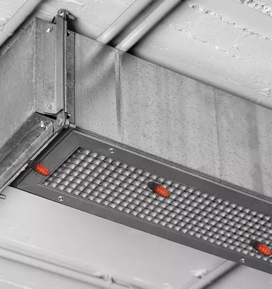 About Air Duct Cockroach Removal in Greensburg, PA