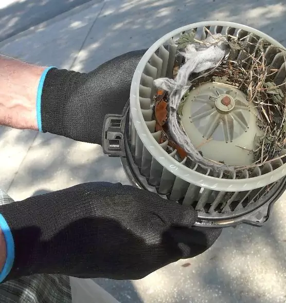 About Air Duct Mice Removal in Greensburg, PA