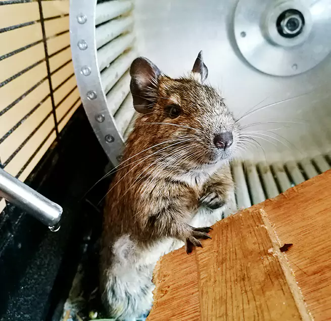 Why Homeowners & Businesses Trust Us Greensburg, PA